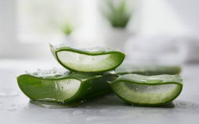 Les bienfaits de l’aloe vera pour la santé